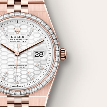 Rolex Land-Dweller 36 Oyster, 36 mm, Everose gold and diamonds