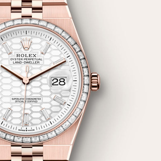 Rolex Land-Dweller 36 Oyster, 36 mm, Everose gold and diamonds
